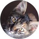 まめ profile picture