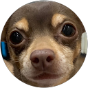 チーちゃん profile picture
